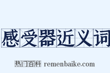 感受器近义词是什么意思的图片